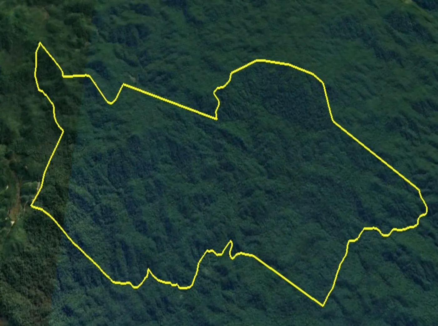 Imagem de satélite com o perímetro da Fazenda Capinzal I, em amarelo, em meio à floresta do Parque Estadual Nascentes do Paranapanema